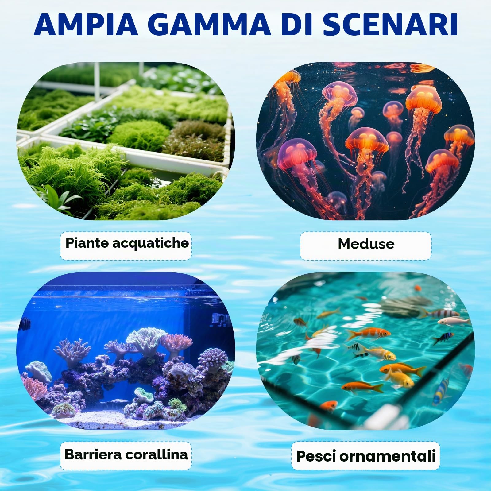 BAOSHISHAN 30L Mini acquario refrigeratore 120W Piccolo acquario refrigeratore per serbatoio di pesce