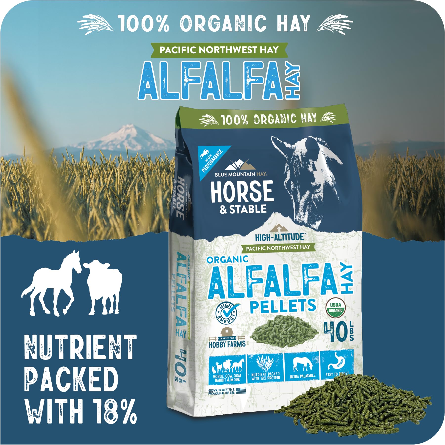 Blue Mountain Hay Pellet di fieno ad alta quota | Qualità premium, conveniente, a bassa polvere, denso di nutrienti | Ideale per cavalli, bovini, capre, conigli e altri piccoli animali (18,1 kg, erba