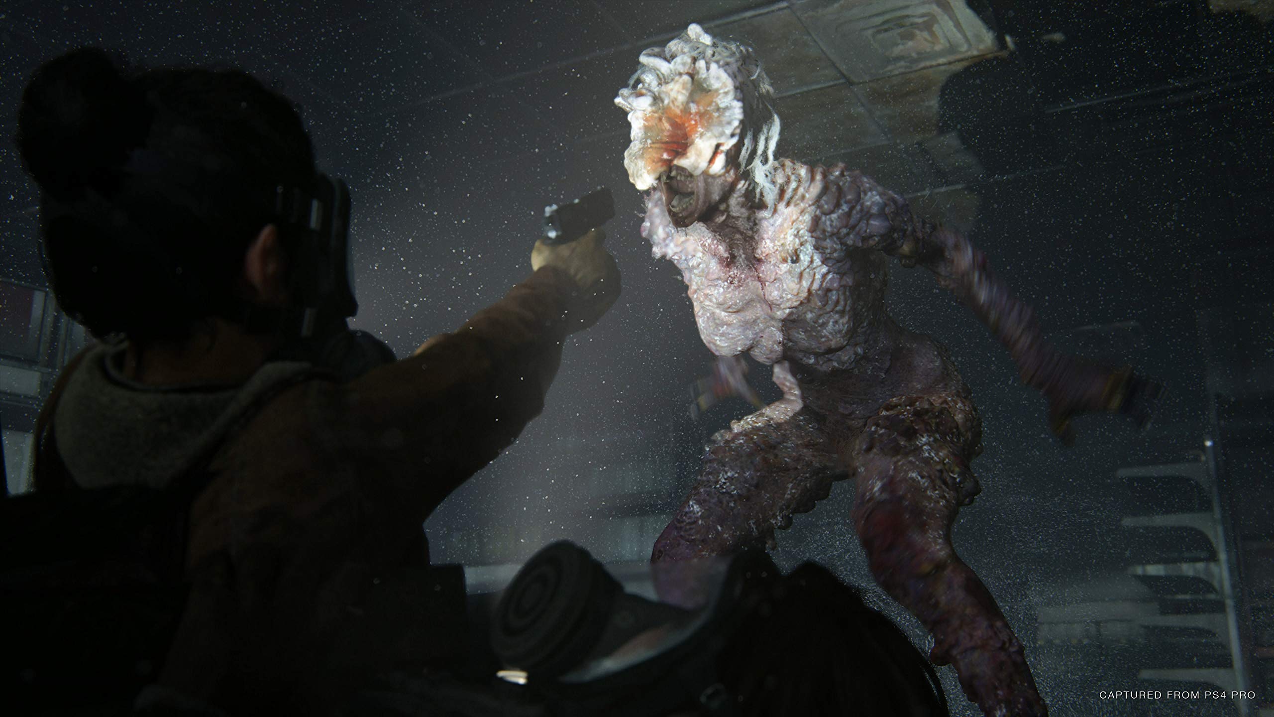The Last of Us 2 - Special Edition - PlayStation 4