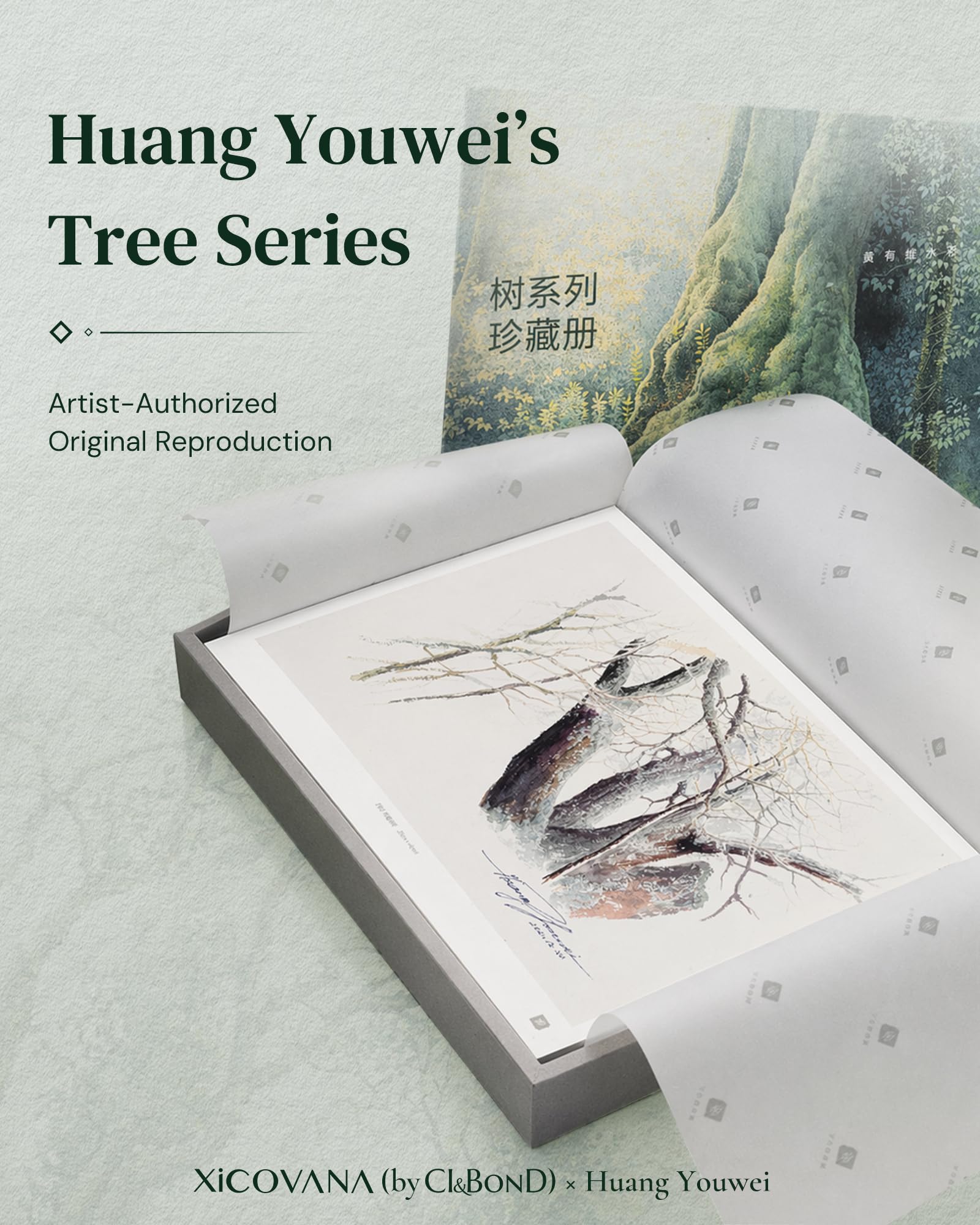 XiCOVANA Huang Youwei Tree Series - Set di fotocopie ad acquerello, riproduzione autorizzata dall'artista, 20 fogli di carta artistica di alta qualità, confezione regalo in velluto per tracciare