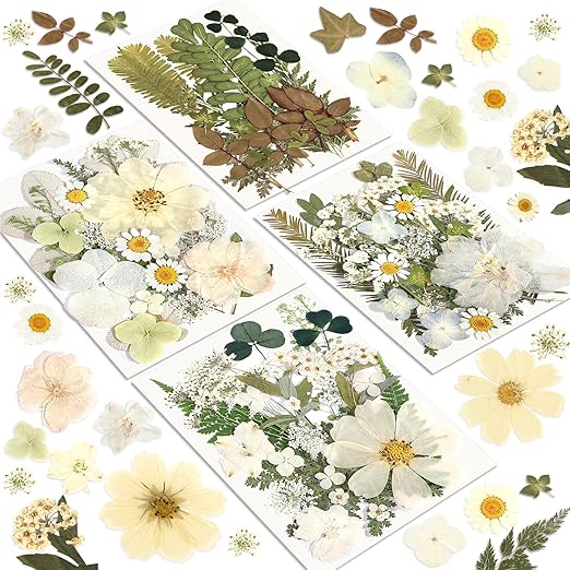 Dried Flowers, Resiners 100Pcs Pressed Flowers for Craft Whtie Real Natural Dried Flowers Dry Leaves Kit for DIY Making Crafts Resin Soap Candle Scrapbook Supplies Card Making Jewelry