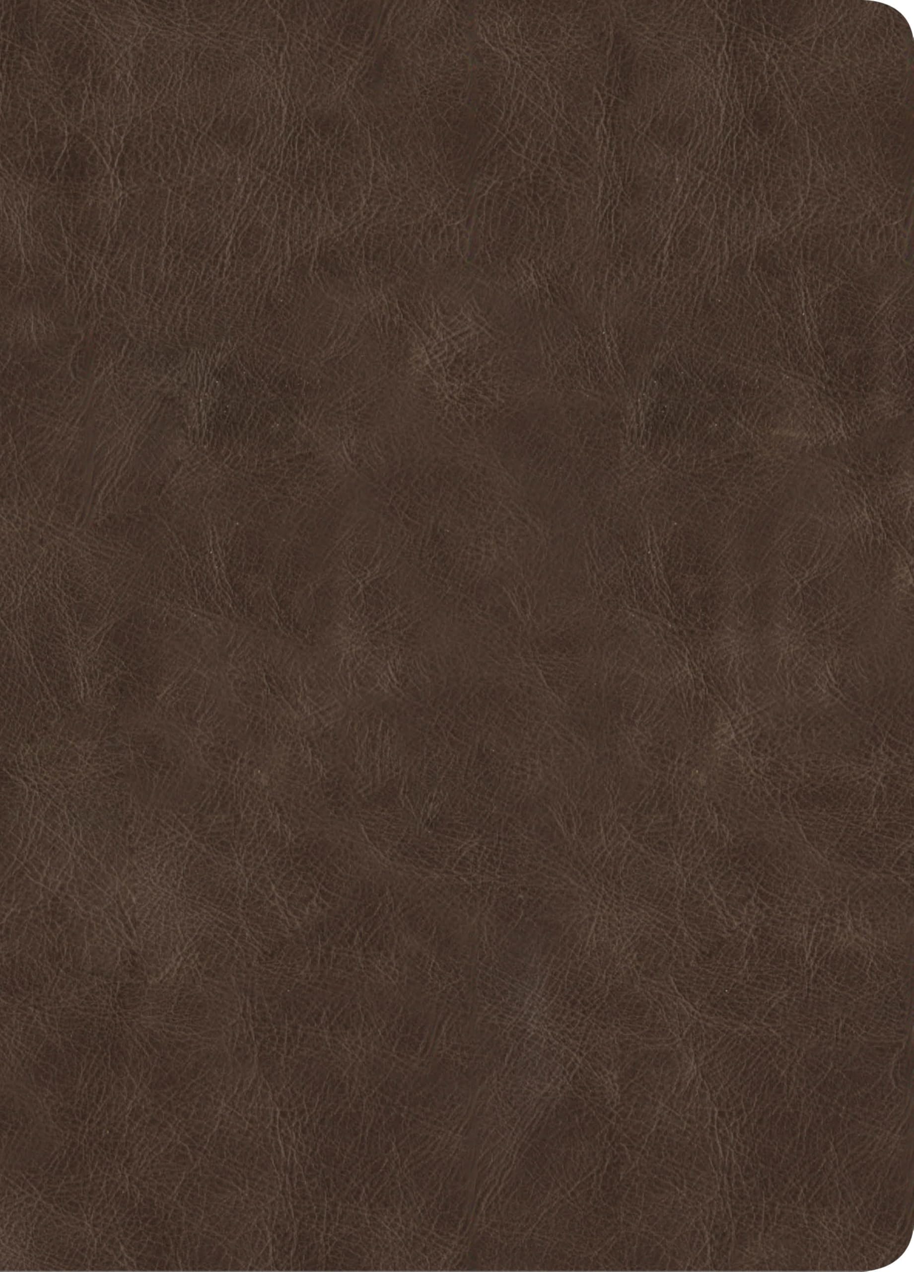 CSB Lumen Dei Bible, Lux Gloriae: Single-Column Wide-Margin Edition, Holman Handcrafted Collection, Easy-to-Read Optimal Type, Marbled Brown Premium Goatskin