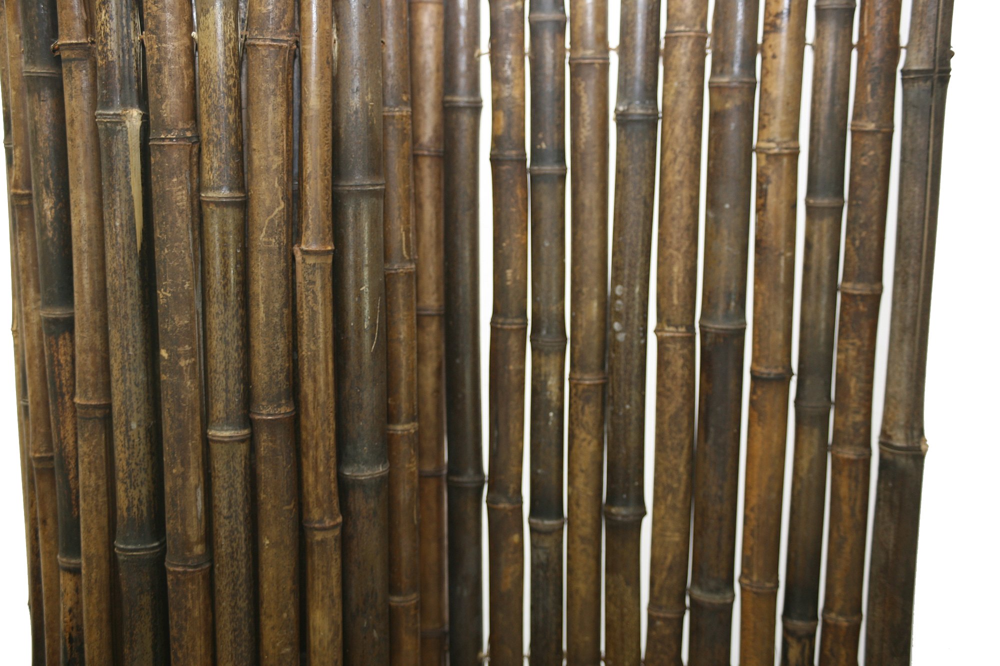 Backyard XScapes Black Rolled Bamboo Fence 1in D x 6ft H x 8ft L Buy