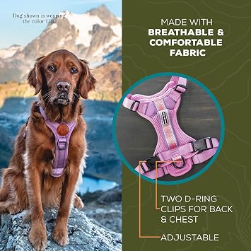 Wilderdog Lightweight Dog Harness with Reflective Straps - Small - Olive