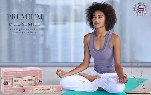 Vista 112 de EARTH Satya Emotions - Varillas de incienso de 15 GMS (paquete de 12) (certificado verde) Agarbatti indio perfumado enrollado a mano, perfecto