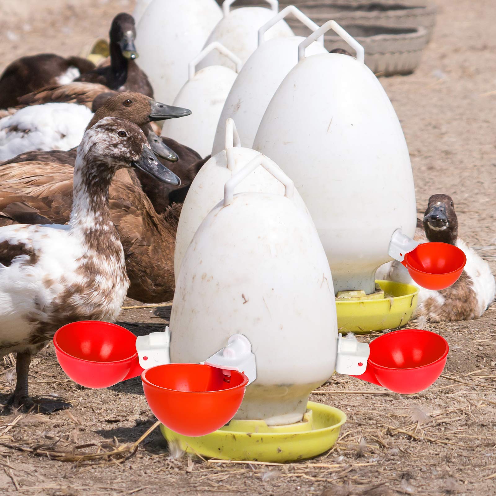 Chicken Watering Cup Automatic Filling Waterer Poultry Drinking Bowl
