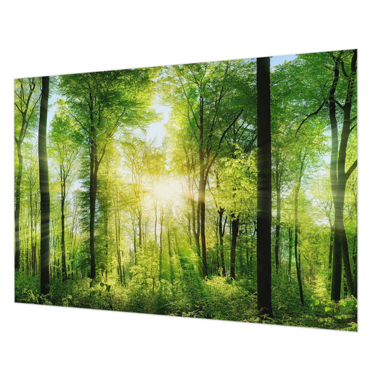 Papier peint intissé lavable et facile à nettoyer impression haute définition forêt 312x219
