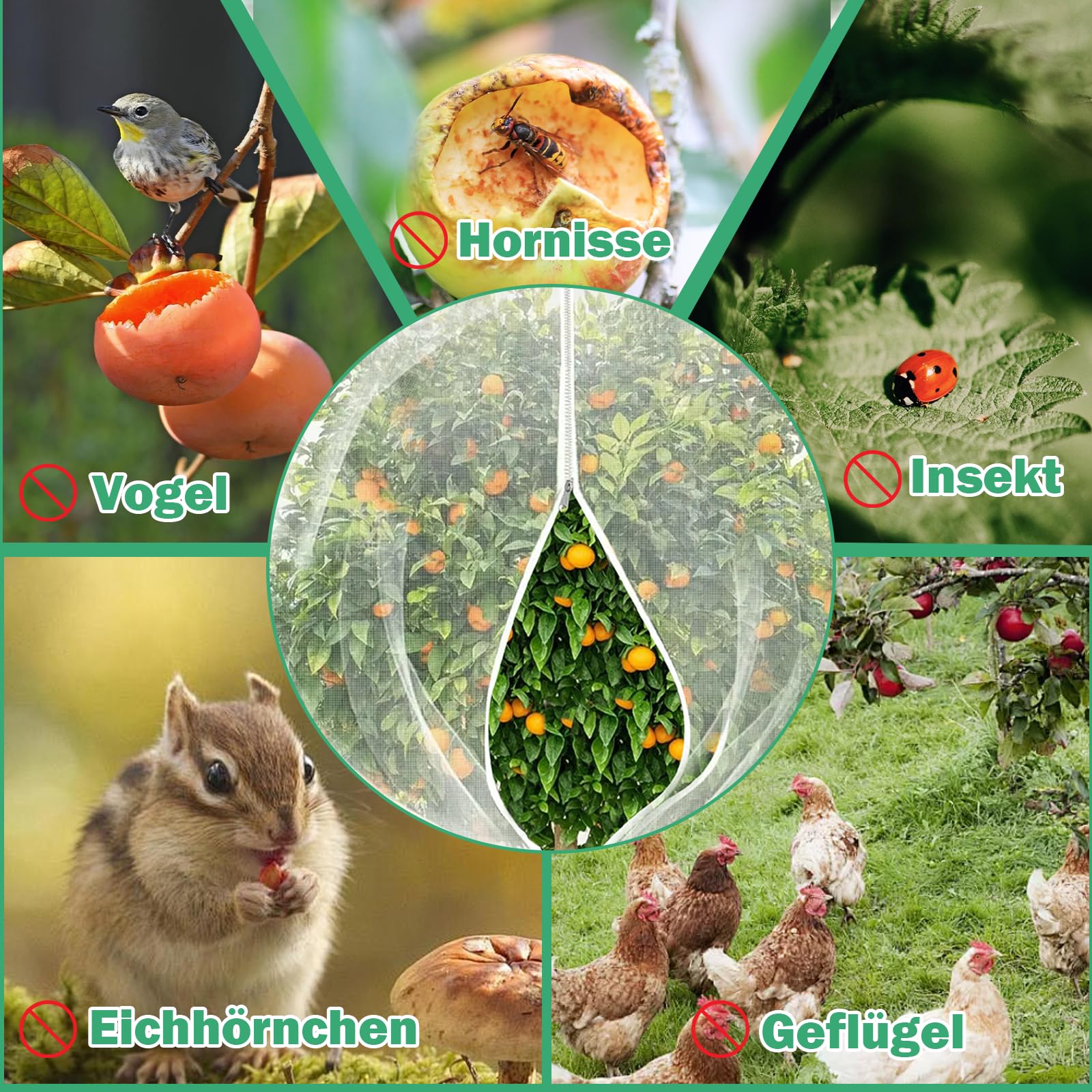 Set di 2 reti di protezione per piante, 3 x 3 m, per alberi da frutto e verdura, protezione dagli insetti contro parassiti, riutilizzabili