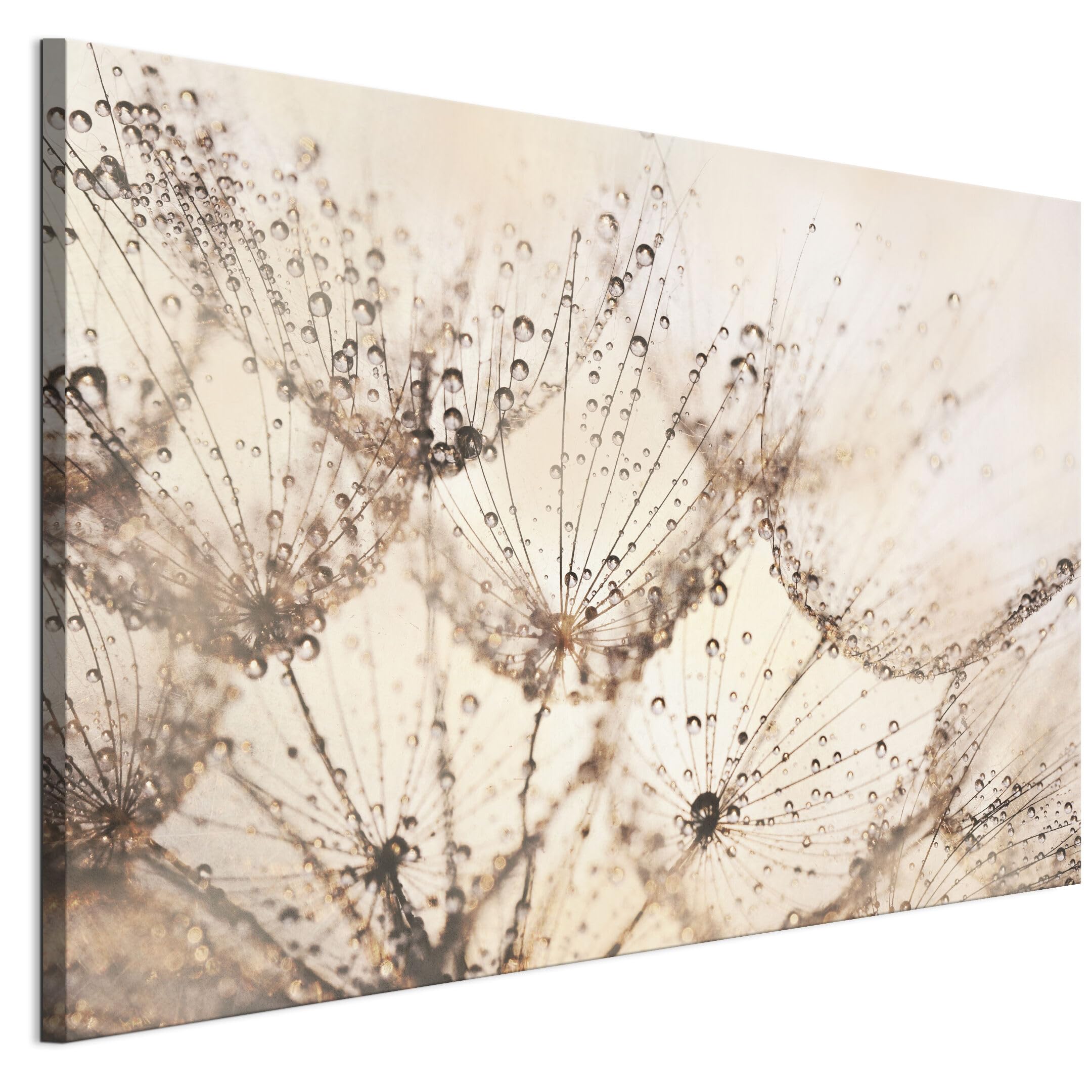 LUMASOUL Wandbilder Wohnzimmer Leinwandbild Natur 120x80 cm