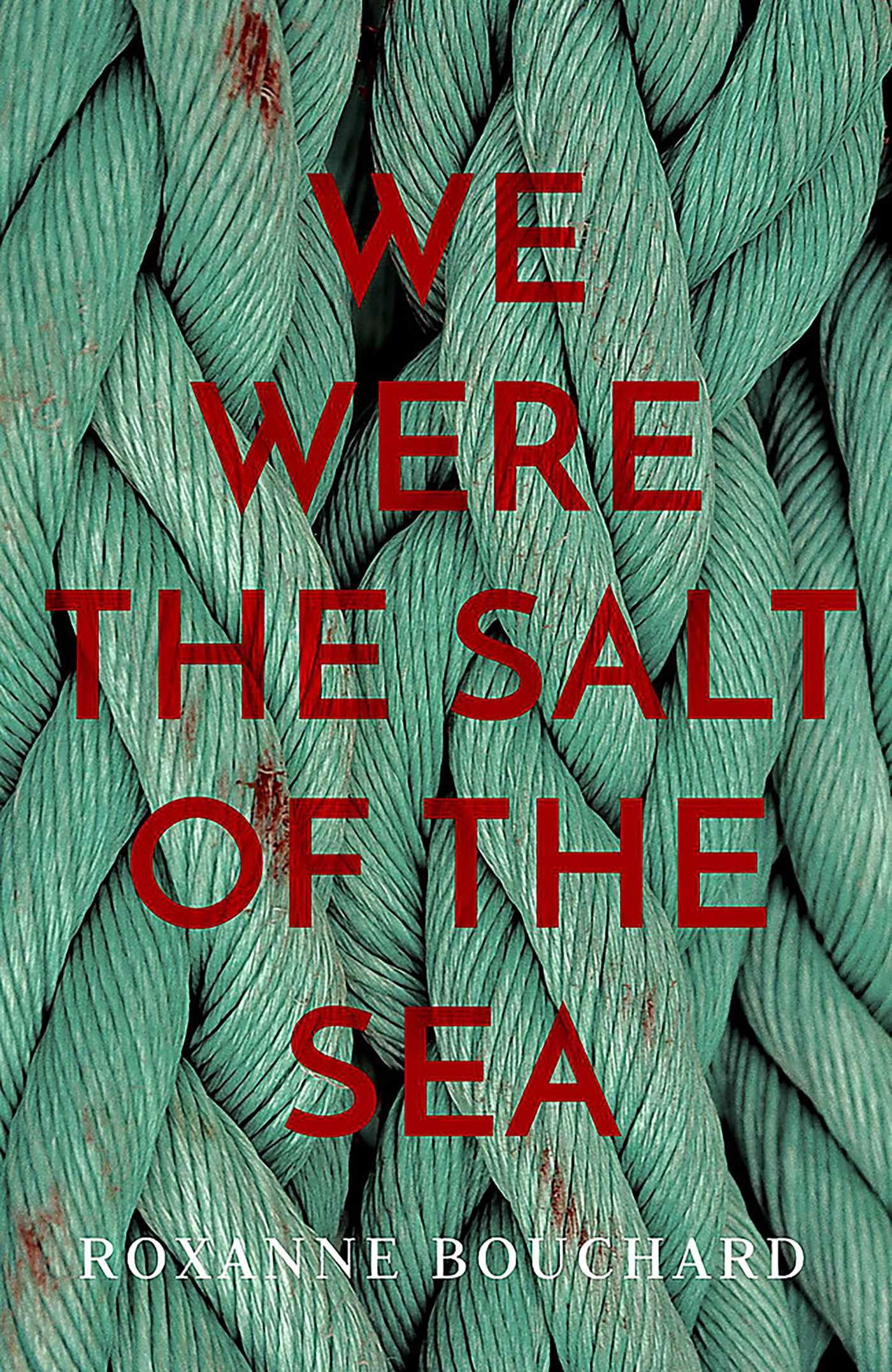 We Were the Salt of the Sea: Book ONE in the award-winning, atmospheric Detective Moralès series: Volume 1 (A Detective Moralès Mystery)