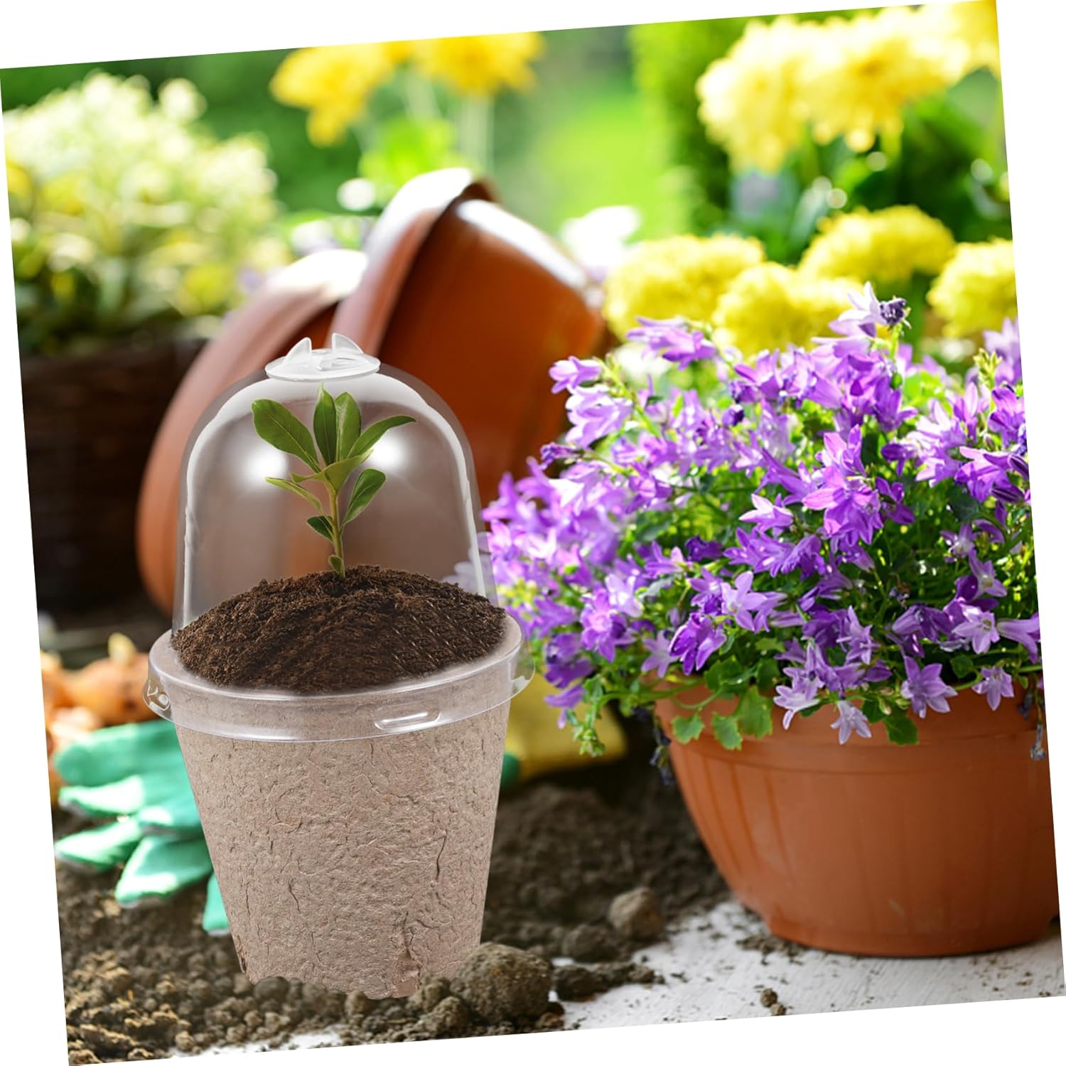 BESPORTBLE 50pcs Paper Nursery Pots Planting Cups Drainage for Fragile Roots for Garden and Home Plant Cultivation