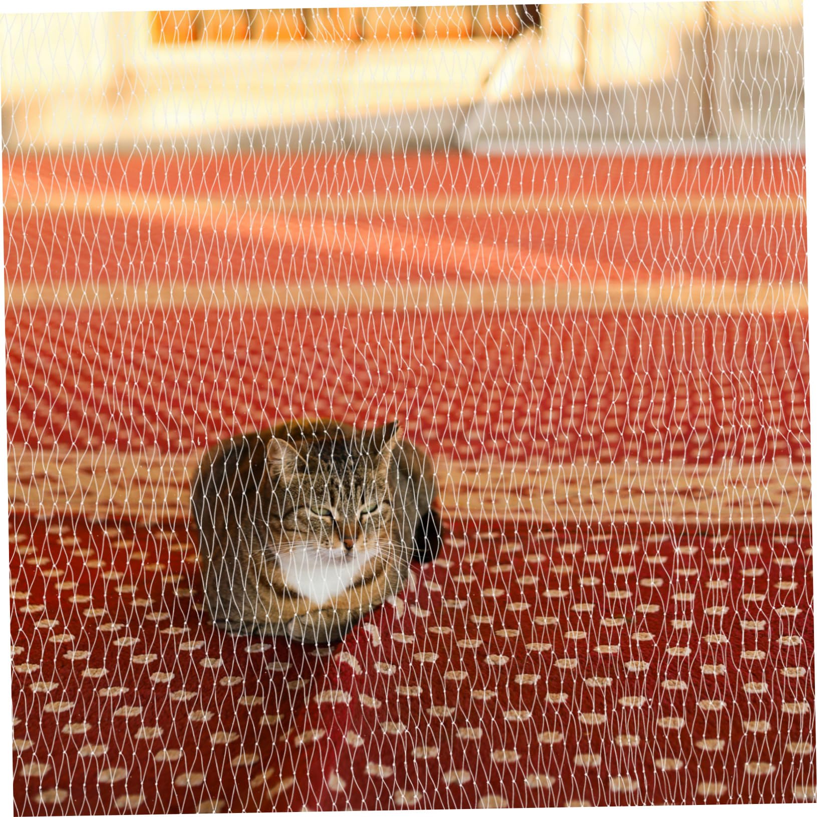 BESTonZON Rete Sicurezza per Balcone Rete Protezione per Animali Domestici per Animali Bianca