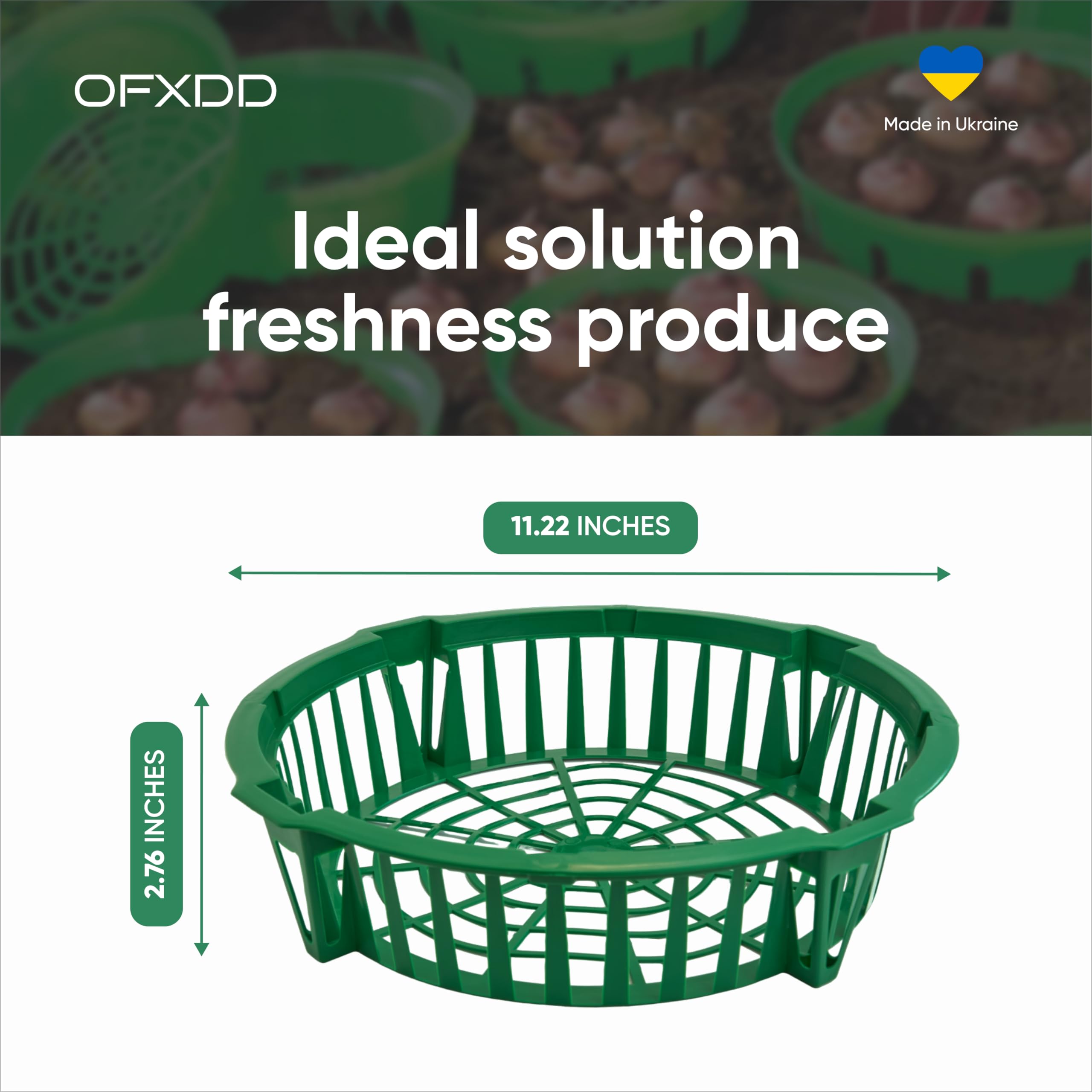 Lot de 6 plateaux de plantation pour oignons - Plateaux en plastique pour bulbes à fleurs - Plateaux de semis réutilisables pour le jardinage, 29 cm
