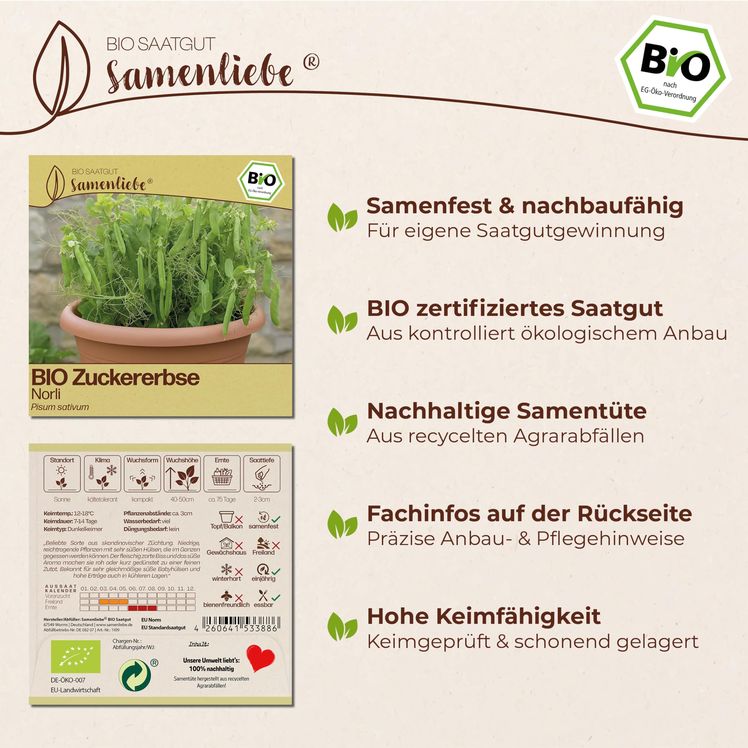 Samenliebe BIO Zuckererbsen Samen | Erbse Norli - fadenlos & kompakt -  samenfestes BIO Saatgut : Amazon.de: Garten