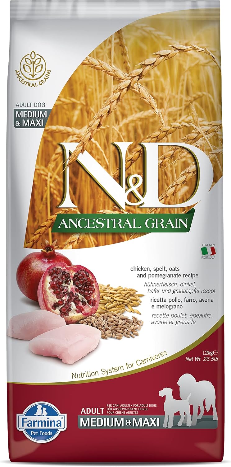 81QD60BCwUS. AC SL1500 Tail Waves