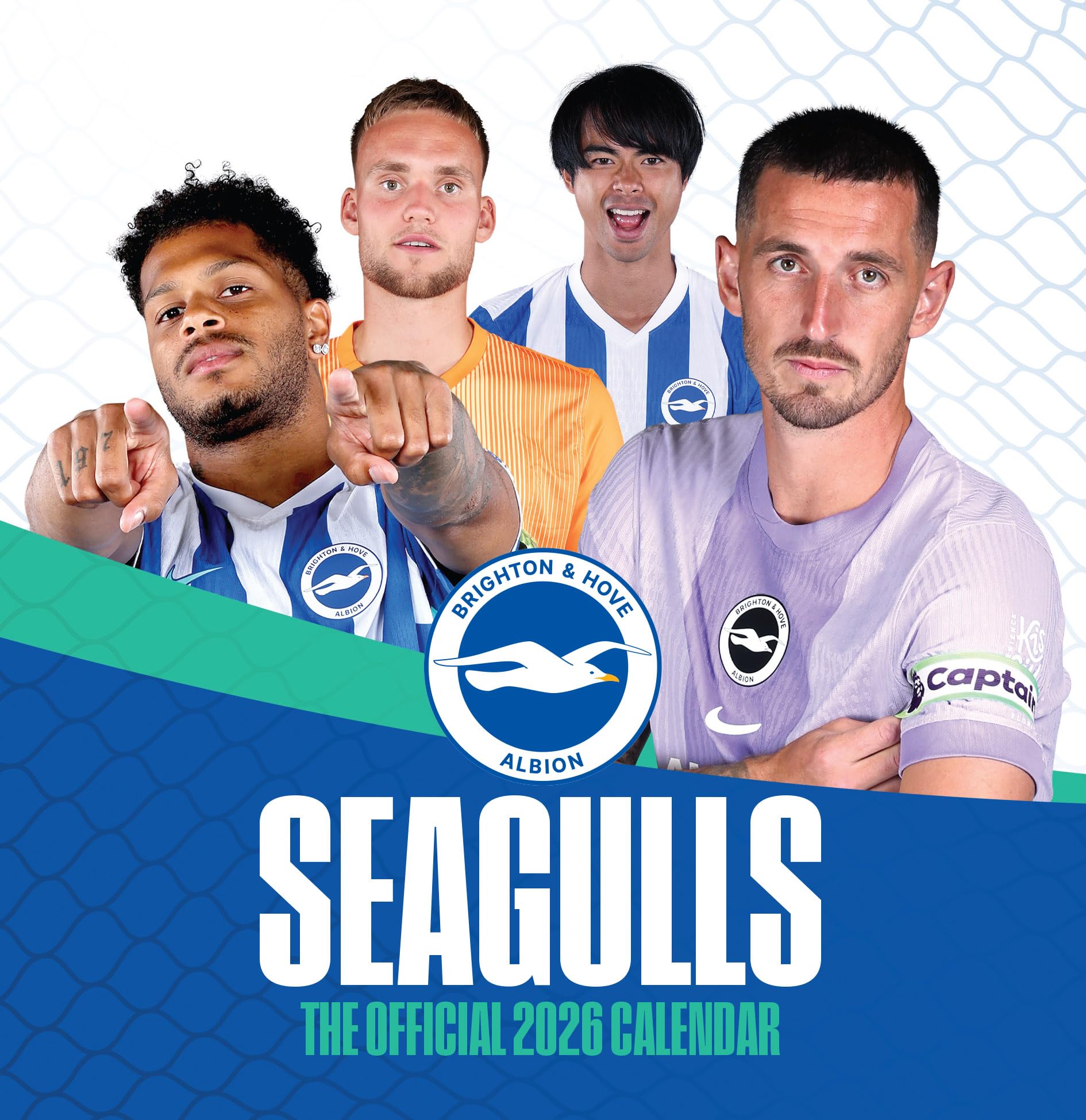 Official Seagulls Desk Calendar 2026 by twocan design (Calendar)