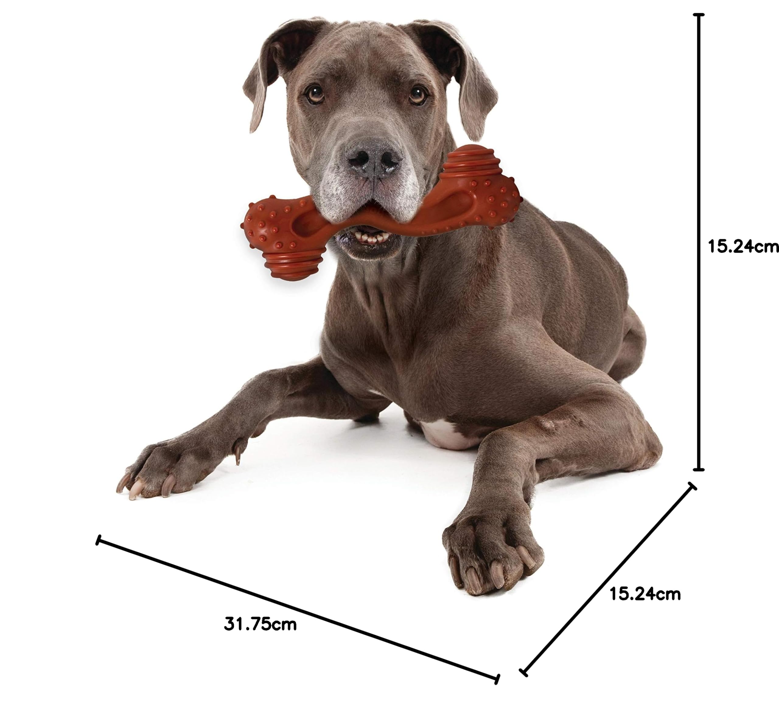 Nylabone Power Chew Toy Bundle – Hundespielzeug für Aggressive Kauer, Specksuppe (ND1008)