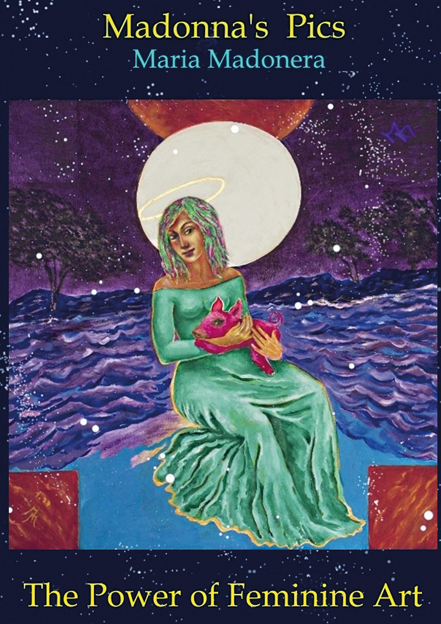 The Power of Feminine Art Madonna album photo broché livre de table esthétique anglais