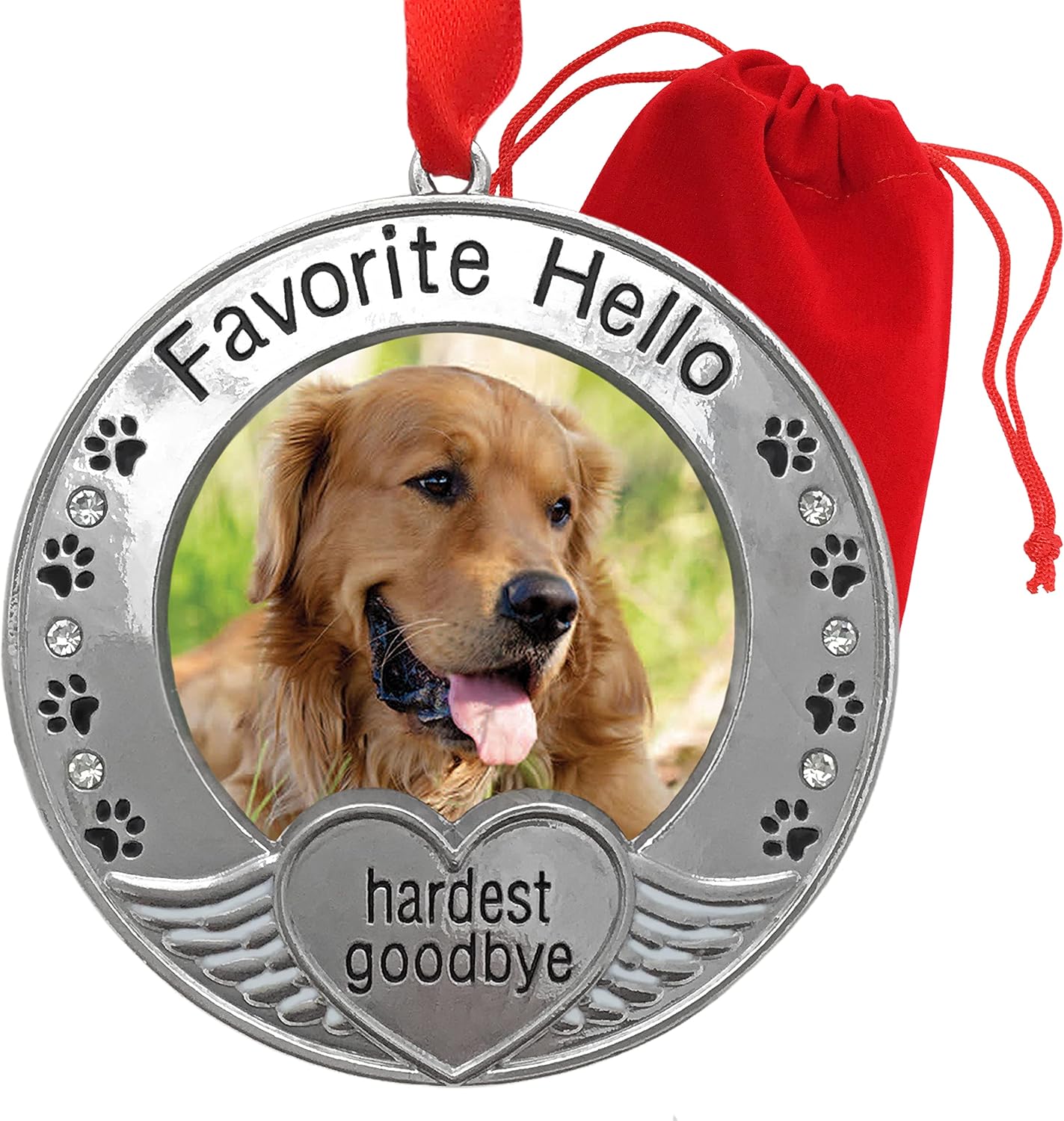 BANBERRY DESIGNS Pet Memorial Ornament - Picture Ornament for a Dog or Cat - Engraved with The Saying Favorite Hello, Hardest Goodbye -…
