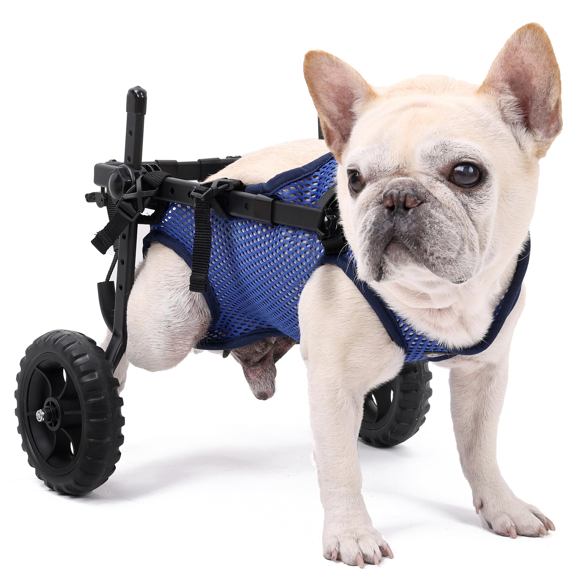 Sedia a rotelle per cani, carrello regolabile per animali domestici con ruote per gambe posteriori, tutore per gambe e supporto per fianchi, aiuta piccoli animali domestici con arti posteriori