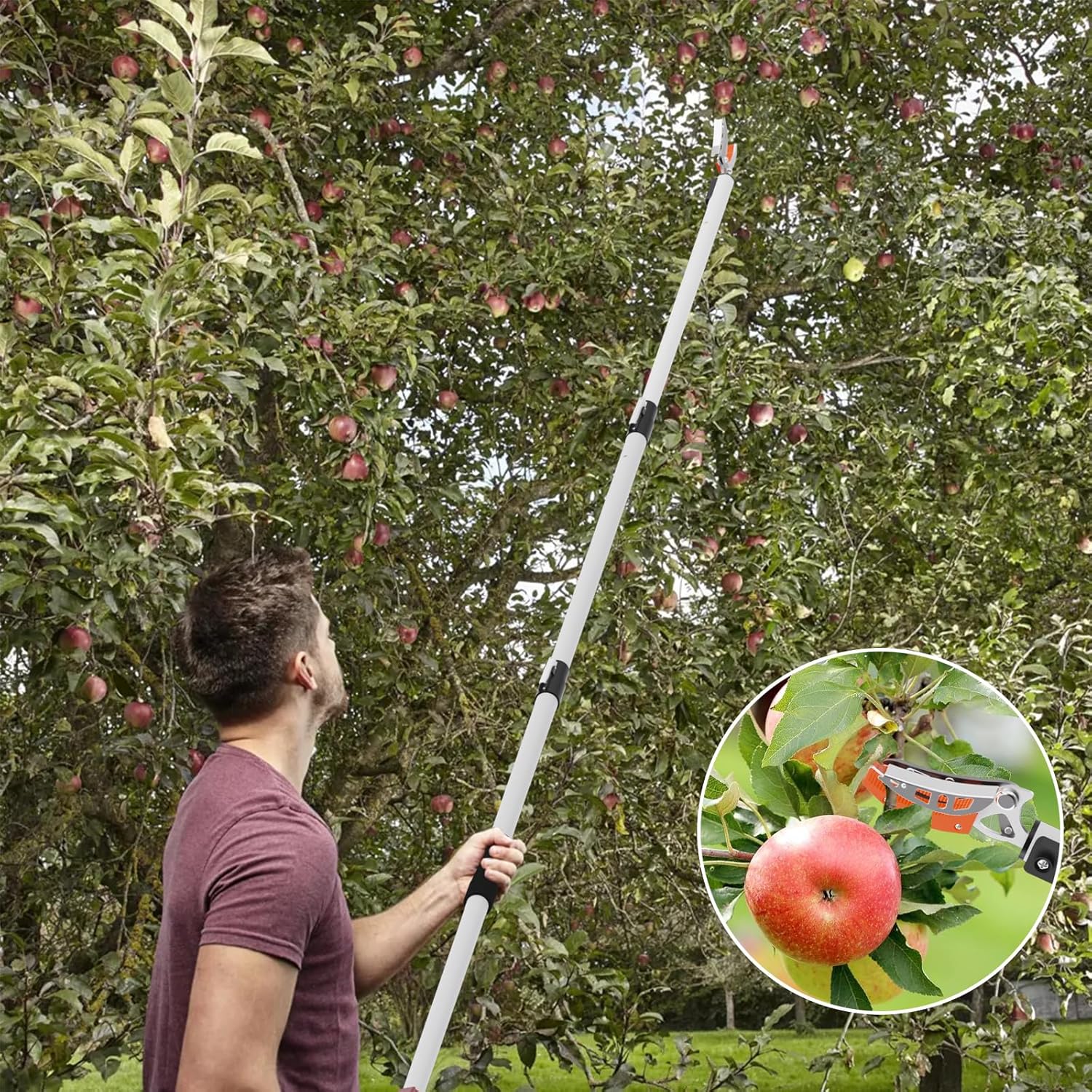 2 in 1 Tree Pruner & Pole Saws for Tree Trimming, The Pruner Head Used to Trim Small Branches and Fruit Picker, The Saw Blade Used to Cut Thick Branches. 5.9ft/1.8m-13.1ft/4m Extendable.