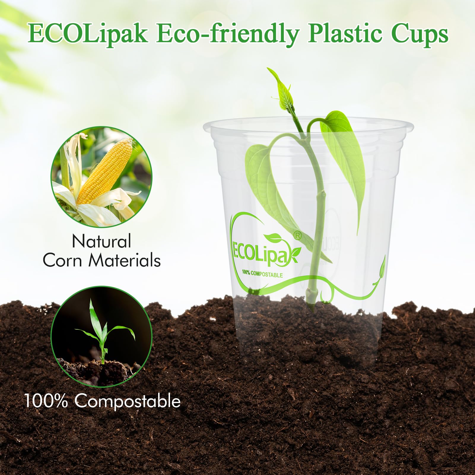 Snapklik.com : 1000 Count 12 OZ Clear Compostable Plastic Cups ...