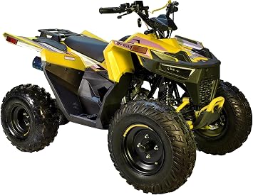 HHH Sporty #CT-125E ATV 125cc ATVs for Youth & Adults Four Wheeler Utility Gas Power Sports Quad with Reverse Led Lights Big Tires 18/19 inches Yellow