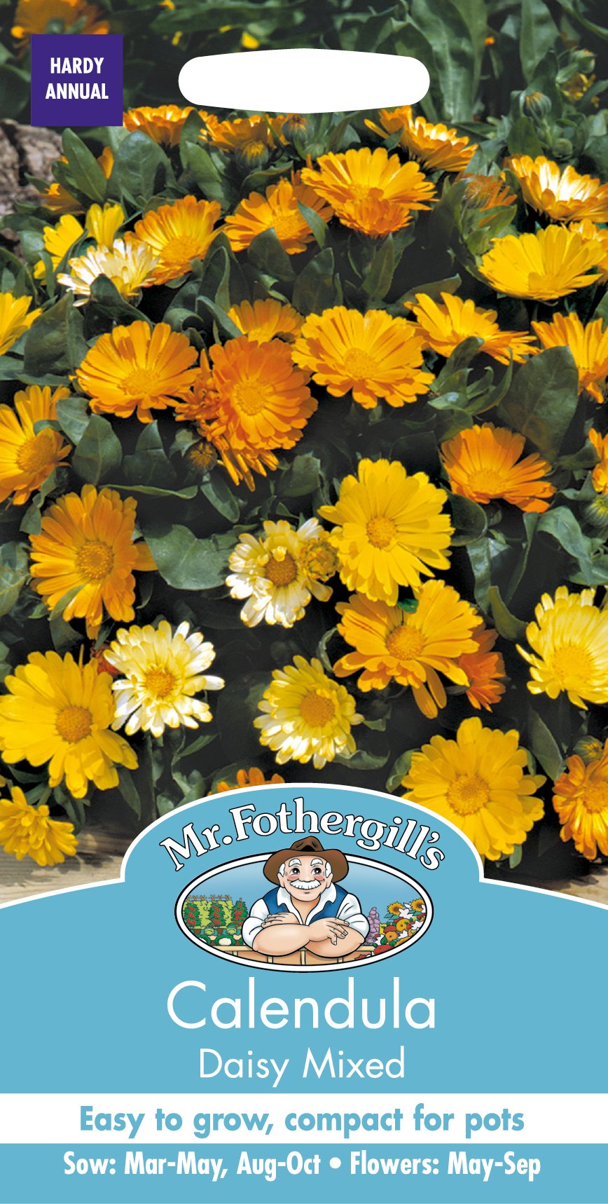 Mr Fothergill's Calendula Daisy Mixed