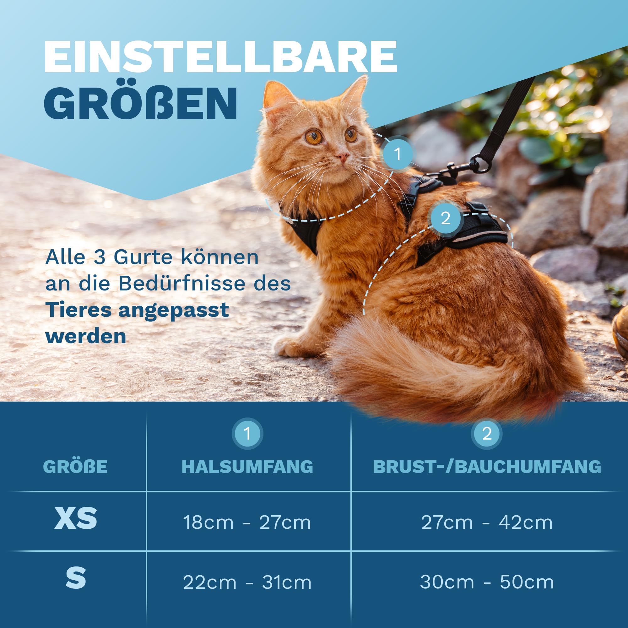 Arnés para gatos – Arnés resistente con correa para paseos seguros (XS, Negro, Rayas)