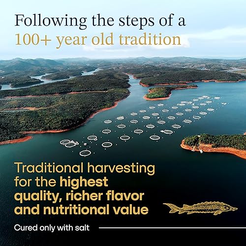 Miniatura 4 de Caviar negro de esturión Russian Ossetra - 175 onzas 50 gramos  Estilo tradicional ruso