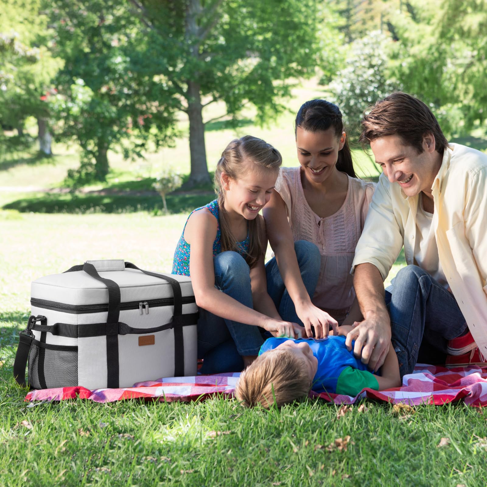 Lifewit Borsa Termica, Borsa Frigo Grande per Uomini Donne, Cooler Bag Portatile con Manici Multipli, Borsa Porta Pranzo, Lunch Bag per Picnic, Campeggio, Barbecue, Grigio Seta, 30L