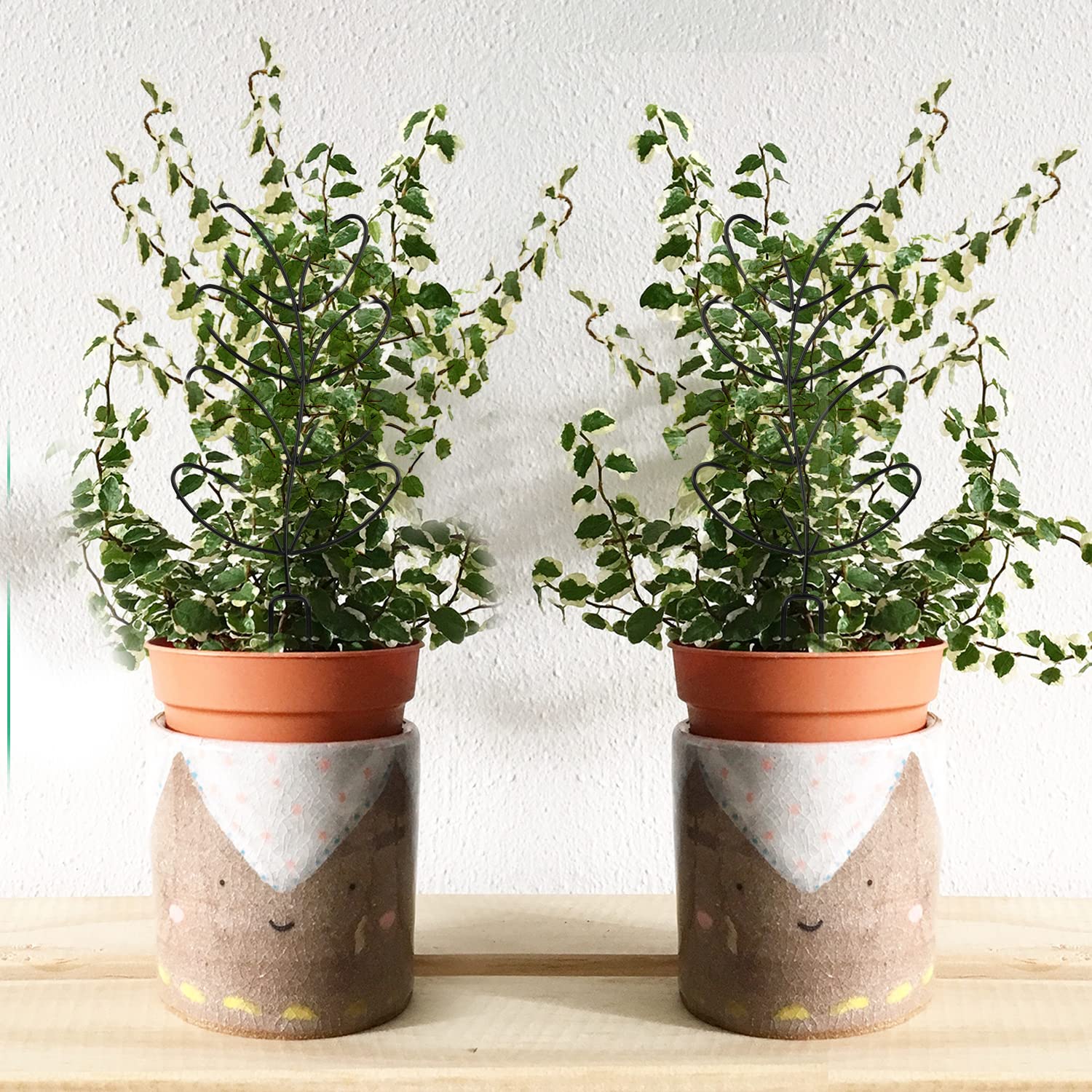 2 Stks Trellis voor Planten, Kleine Metalen Planten Trellis Indoor Kamerplant Trellises Klimplanten Trellis voor Potplanten Kamerplanten Decoratie (Zwart