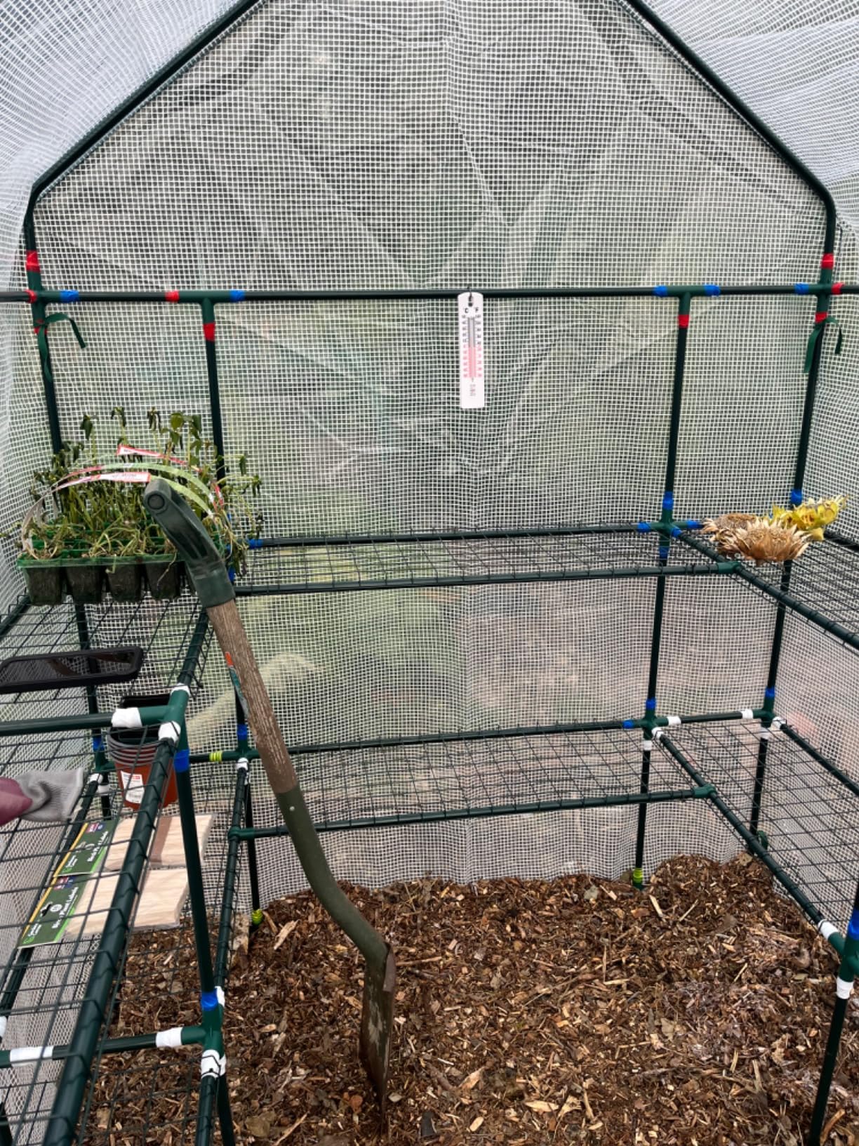 Customer photo