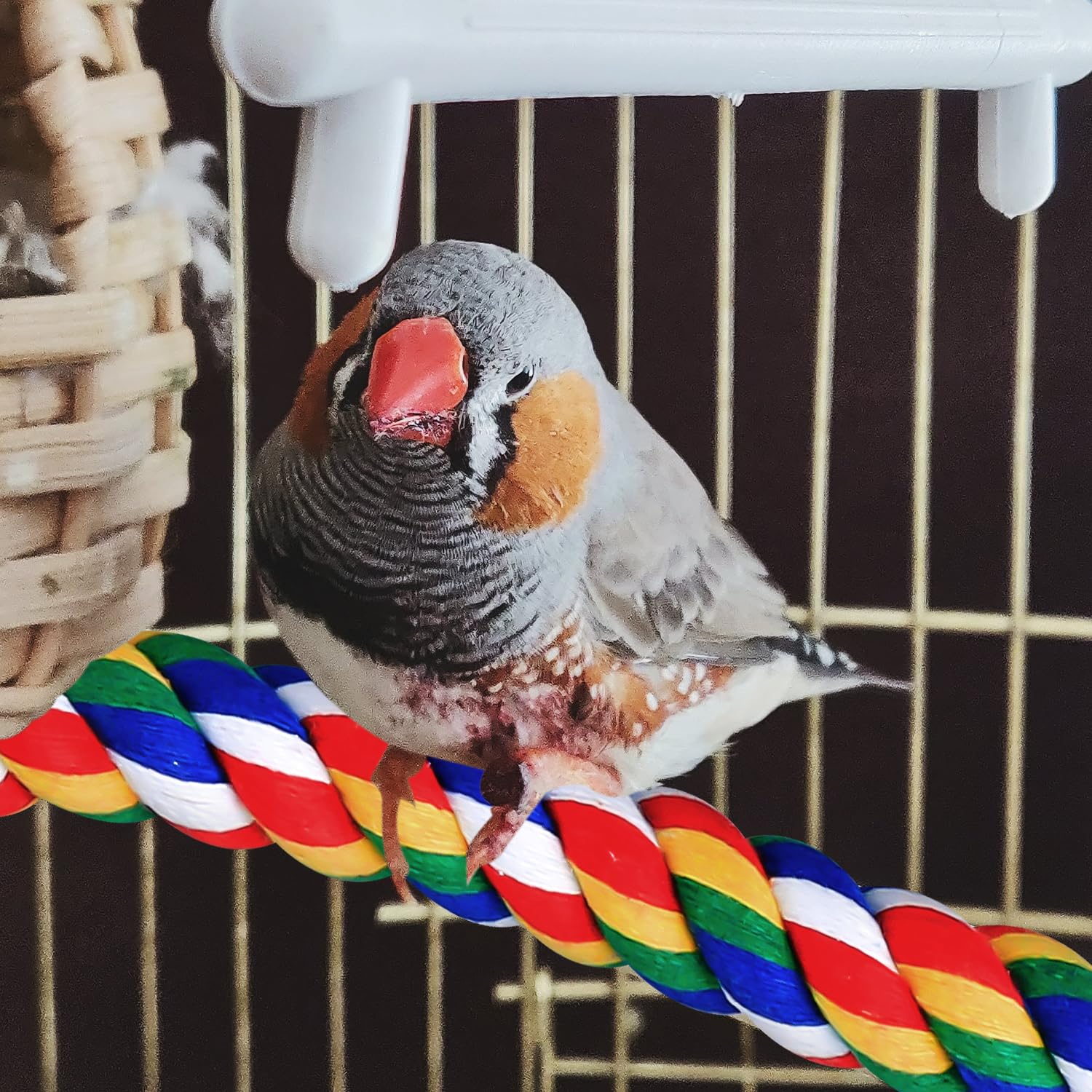 Luckious Premium 80cm Bendable Bird Perch Rope for Parrot,Parakeet,Cockatiel,and Budgie - Image 4