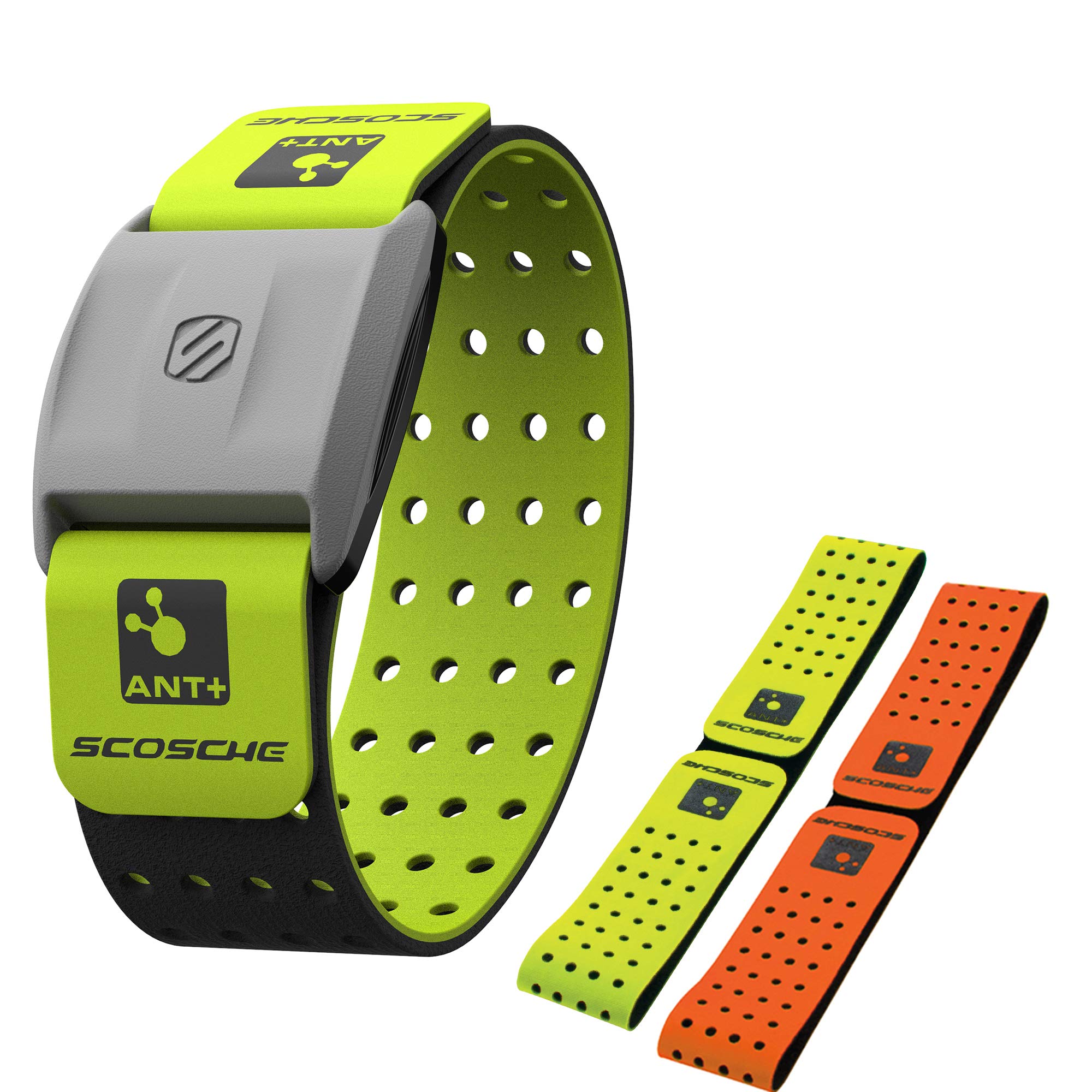 Rhythm+ Heart Rate Monitor Armband Scosche Rhythm+ Armband