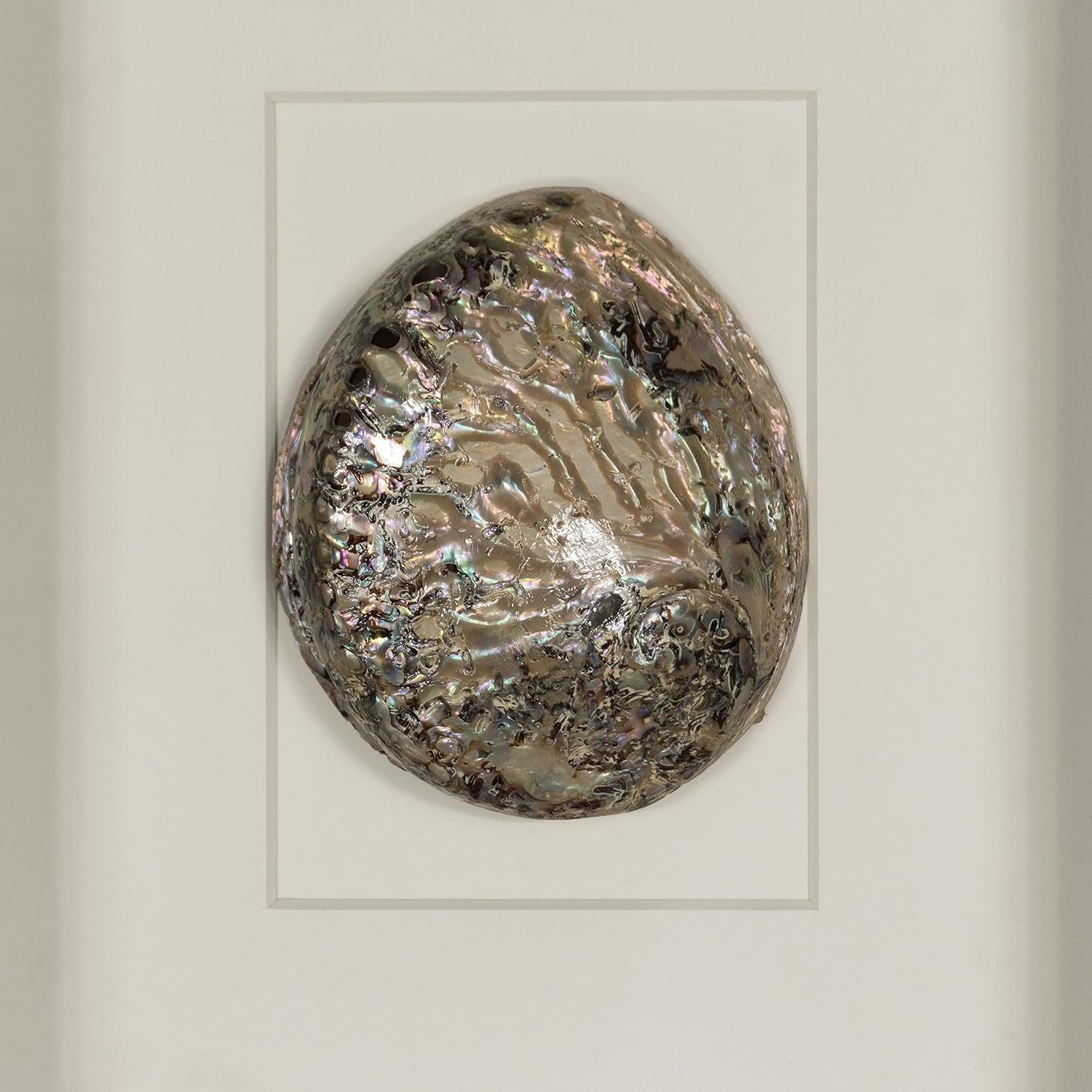 HUJI Abalone & Pearl Shell Shadow Box Wall Décor (2 Piece Set)