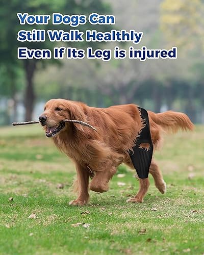 Miniatura 7 de Rodillera para perro, soporte de ACL para perro para desgarro delantero y trasero, patas traseras y traseras, desgarro de ligamento cruzado