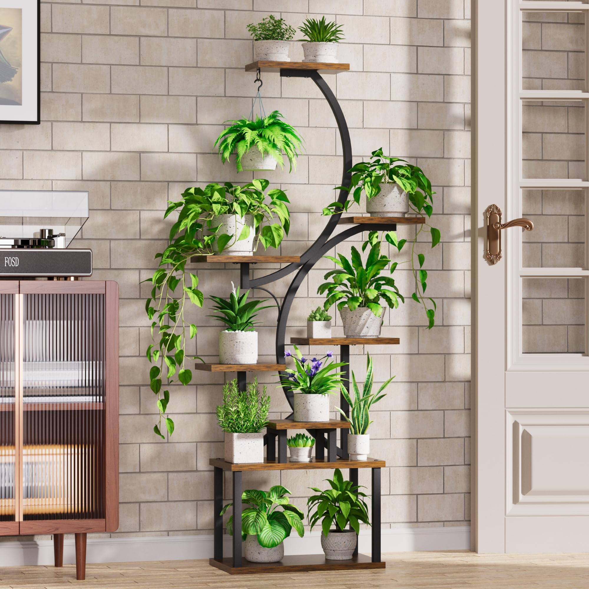 BACEKOLL Support pour Plantes d'Intérieur à 8 Niveaux - 157,5 cm de Haut, en Métal, Forme S pour Maison et Terrasse (Noir)