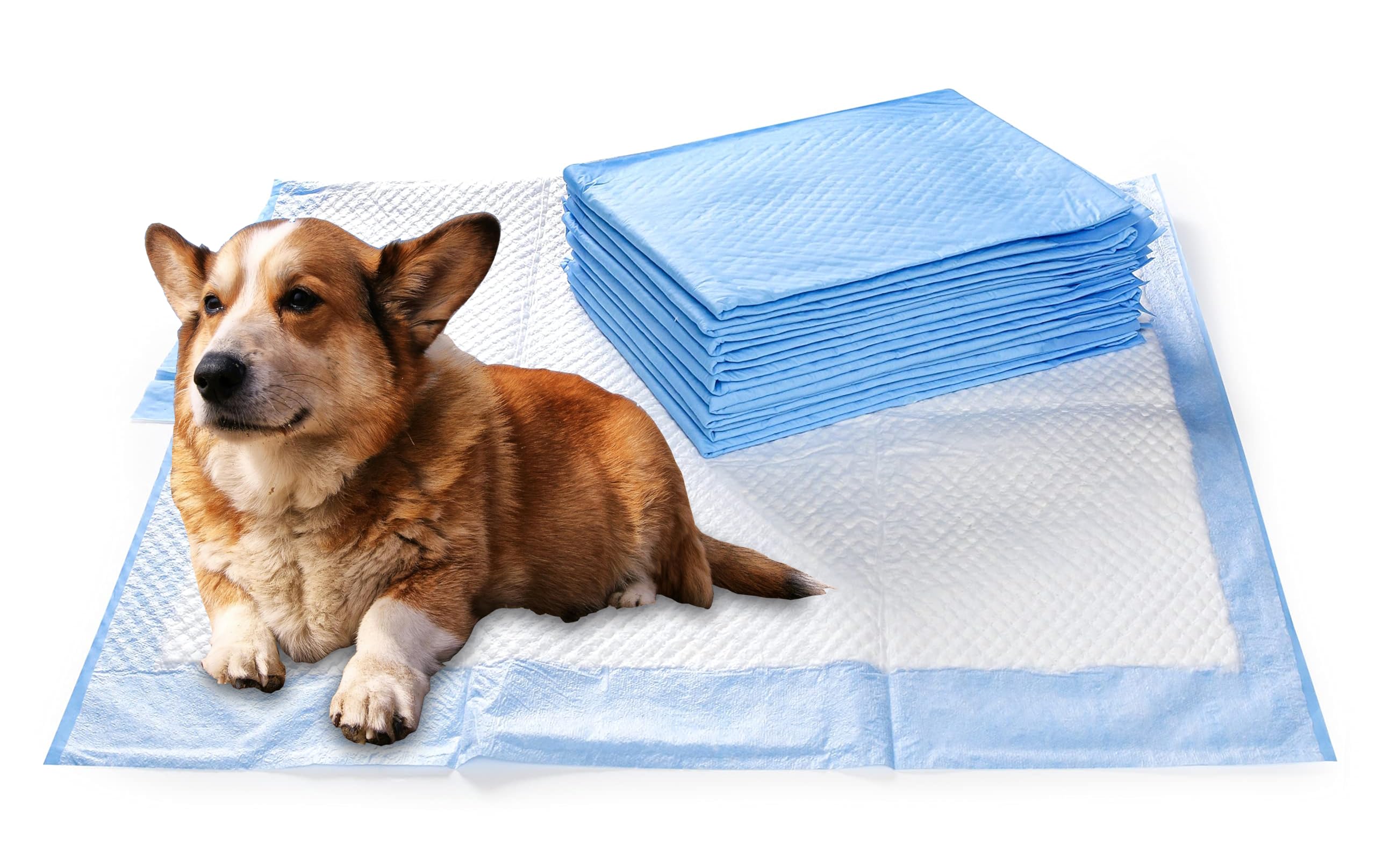 ValuePad USA Disposable Underpads for Incontinence, Bedwetting and Pet