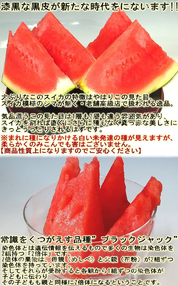 Amazon.co.jp: ○ブラックジャック 種無し西瓜 1玉 約7～10kg 秀品