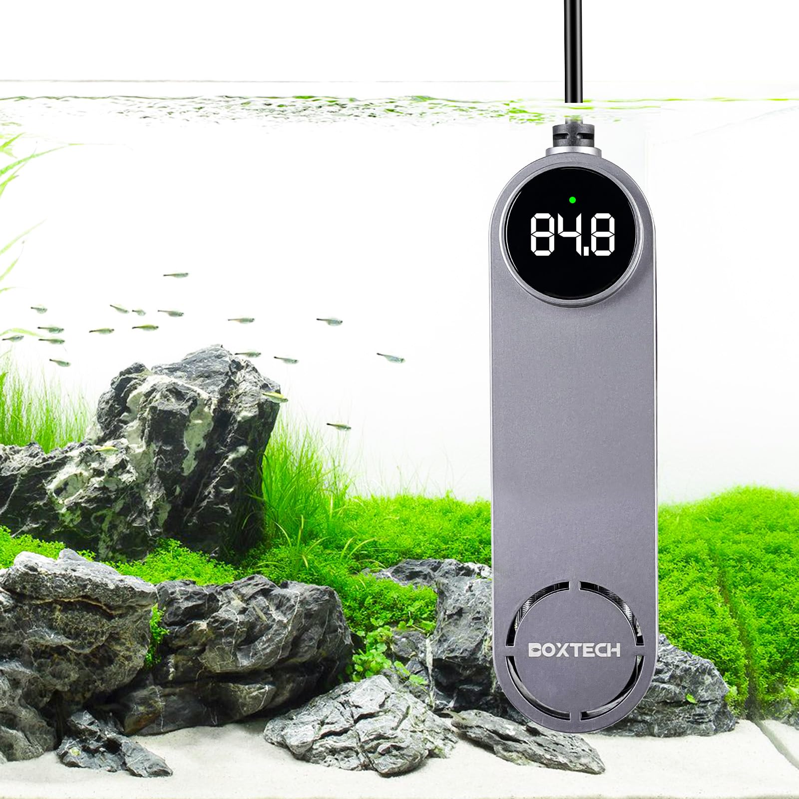 boxtech Riscaldatore per acquario, riscaldatore per acquari da 25 a 40 galloni, scaldabagno sommergibile da 200 W con termometro digitale, protezione contro il surriscaldamento