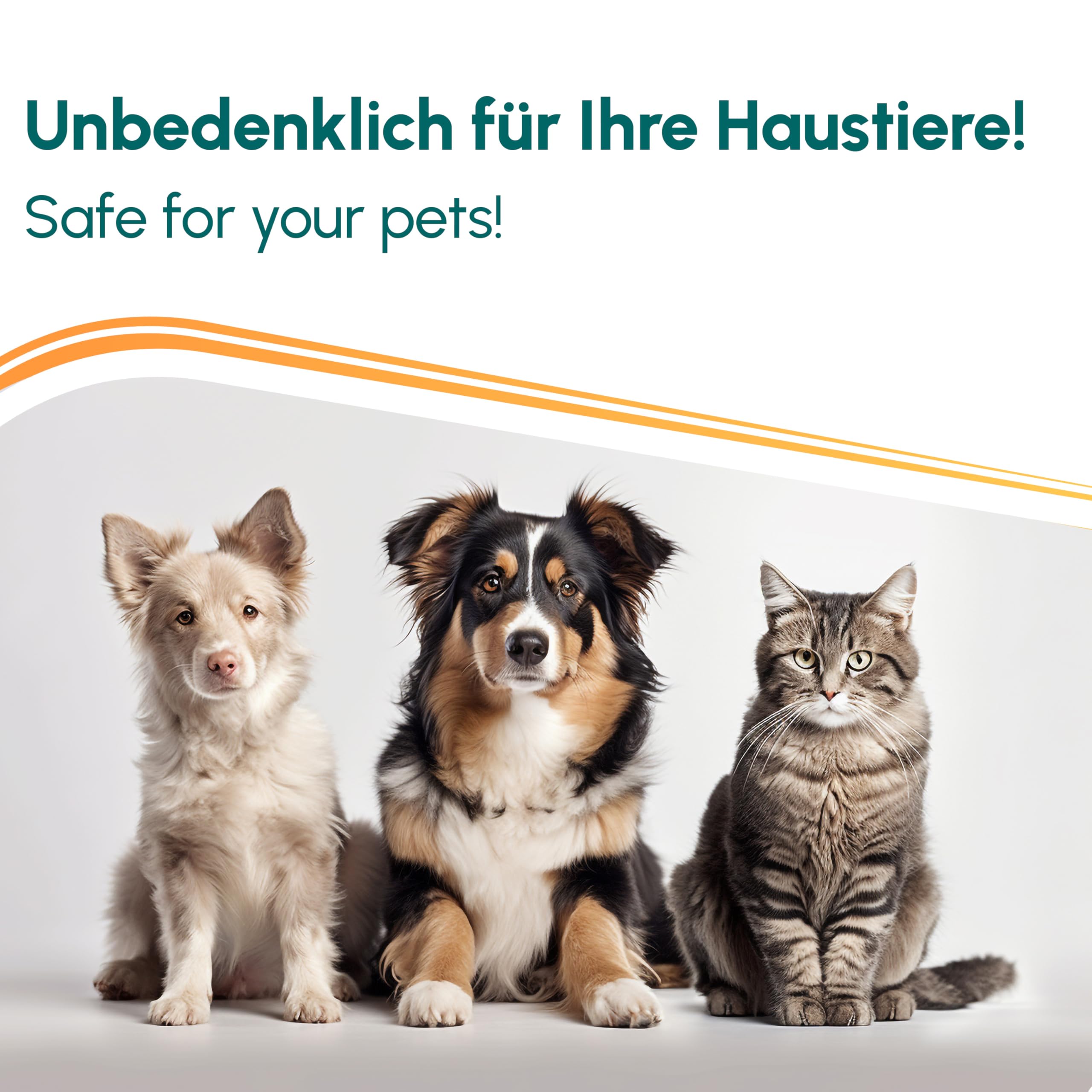 INOX Hocheffektives Giardien Desinfektionsmittel 4x5L I Anti-Giardien Wischkonzentrat für alle Oberflächen I Wirksames Desinfektionsmittel für Giardien für den Haushalt