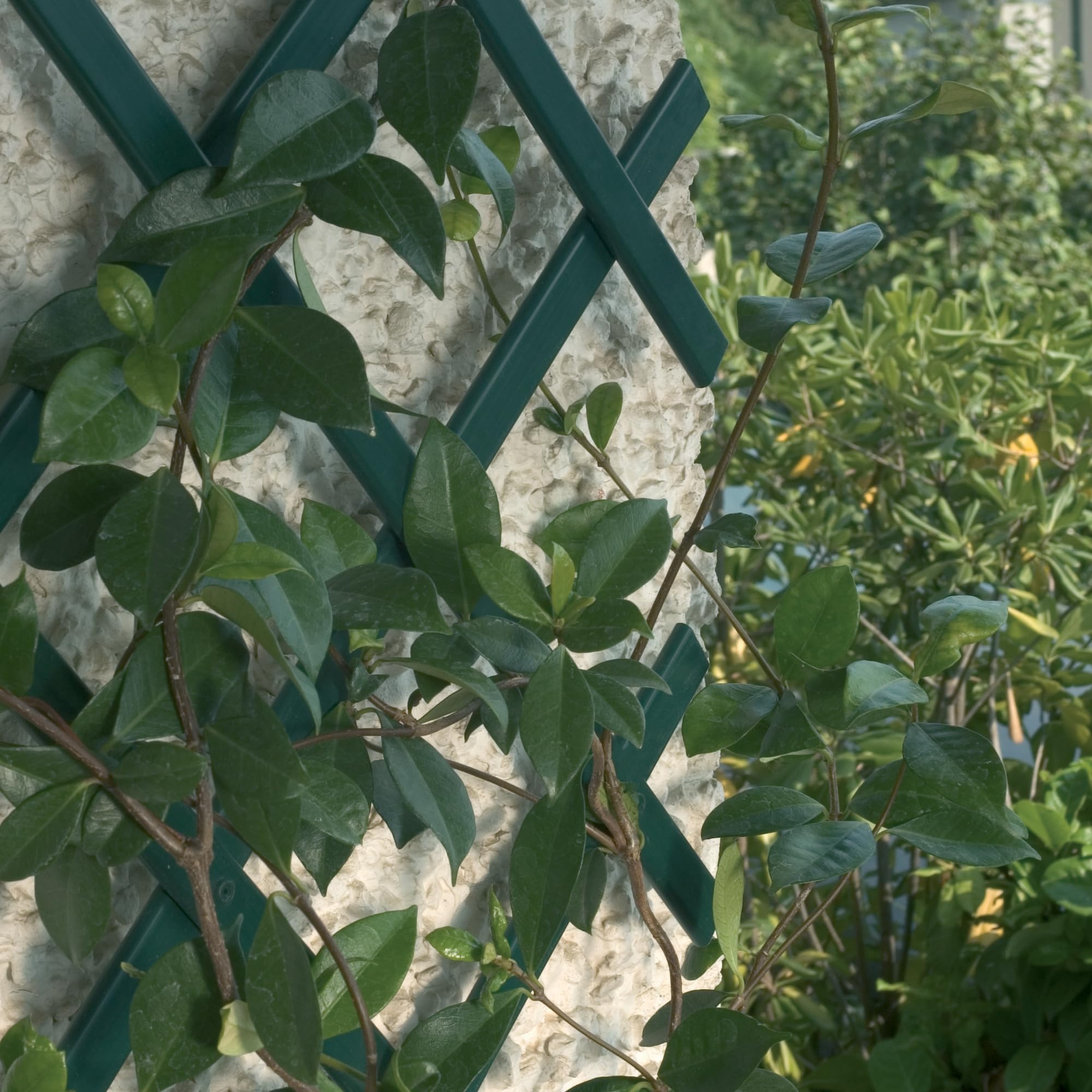 TENAX Treplas 100x300 cm, Verde, Traliccio Estensibile in PVC per Sostegno a Muro di Fiori e Piante Rampicanti