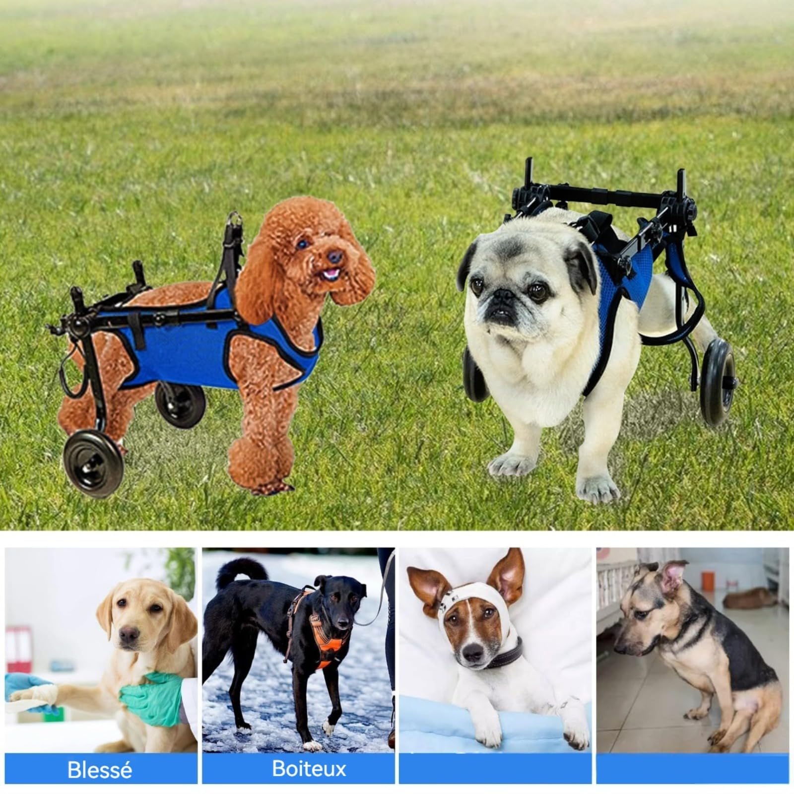 Chariot réglable pour animal domestique handicapé, aide à la mobilité des membres postérieurs, aide à la mobilité des chiens, outils de rééducation, promenade, pattes d'animaux de compagnie léger