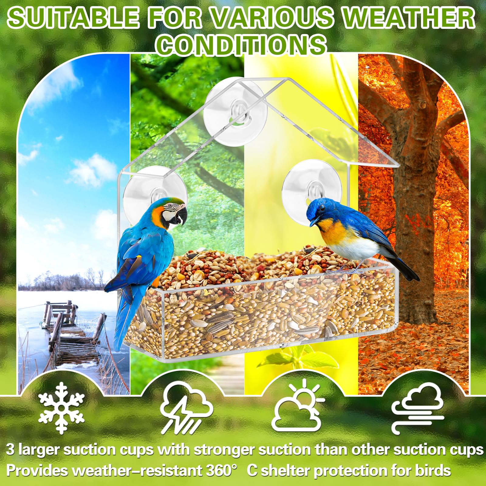 HGRGHH Comedero para Pájaros Acrílico, Comedero Pajaros Transparente, Comedero para Pájaros con 3 Ventosas, Comedero Pajaros Colgante para Jardín Pájaros Silvestres 15,5 x 15 x 6cm — view 6