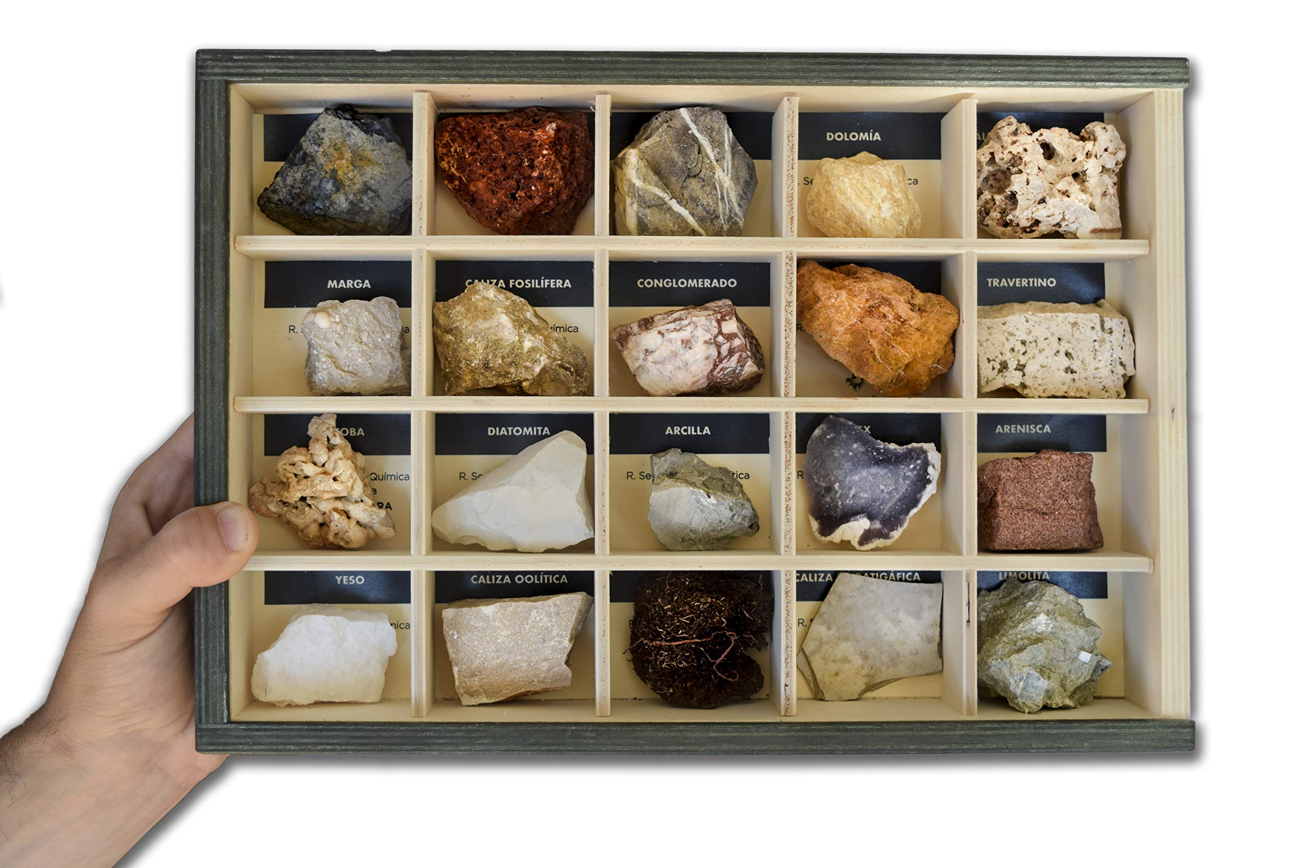 Colección de 20 Rocas Sedimentarias Premium en Caja de Madera Natural - Rocas educativas de Gran tamaño con Hoja de descripción. Kit Geología para niños