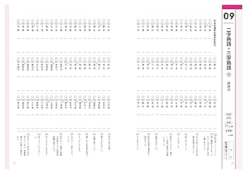 大学入試のテキスト 大学入試受かる漢字・用語パピルス1467 (大学受験Vブックス新書