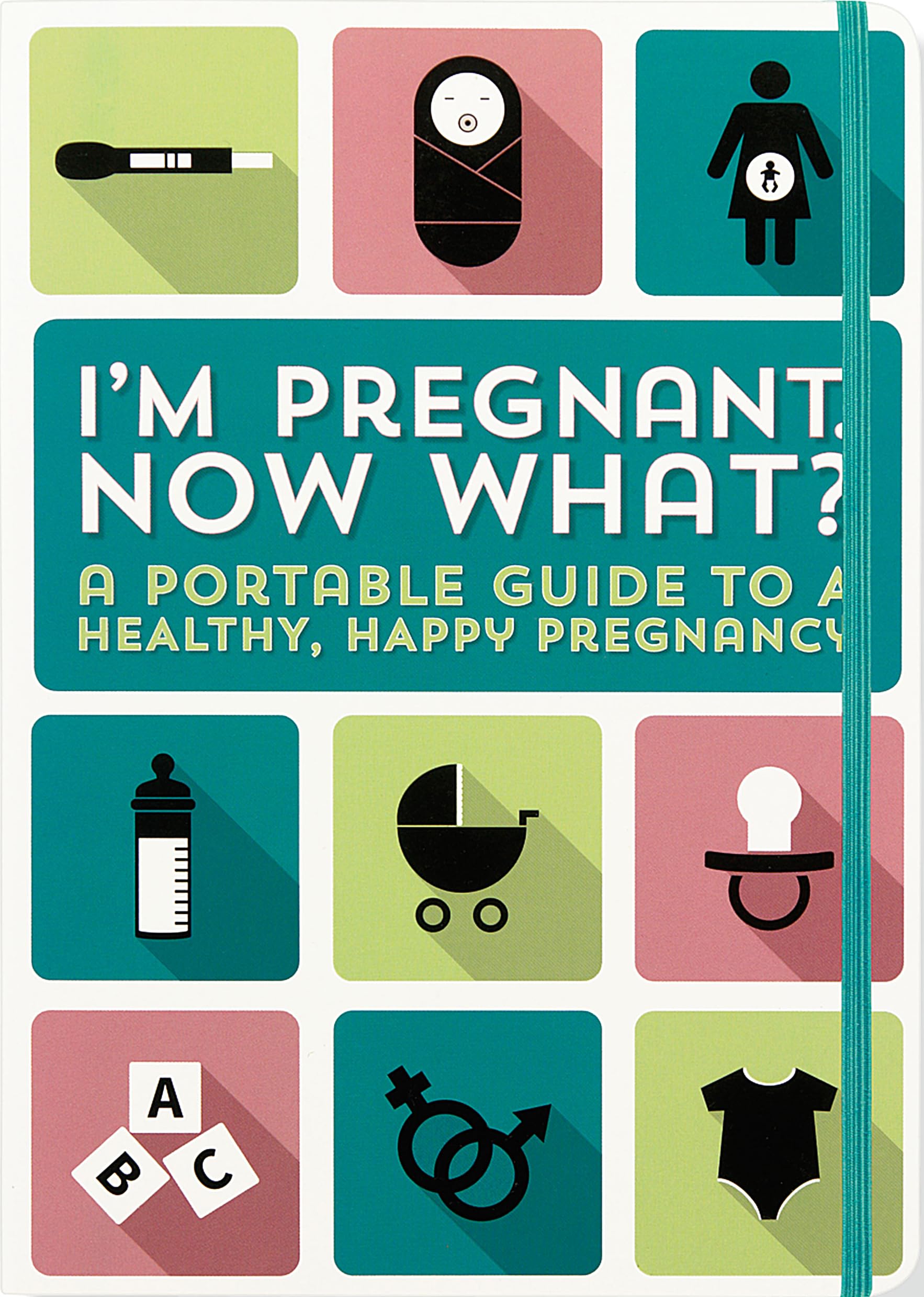 I'm Pregnant, Now What? (A Portable Guide to a Happy, Health Pregnancy)