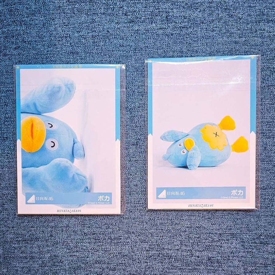 日向坂46 ポカ ぬいぐるみ 中サイズ ＋ フィギュアキーホルダー セット 日向坂46 ポカ ぬいぐるみ 中サイズ ＋ フィギュアキーホルダー