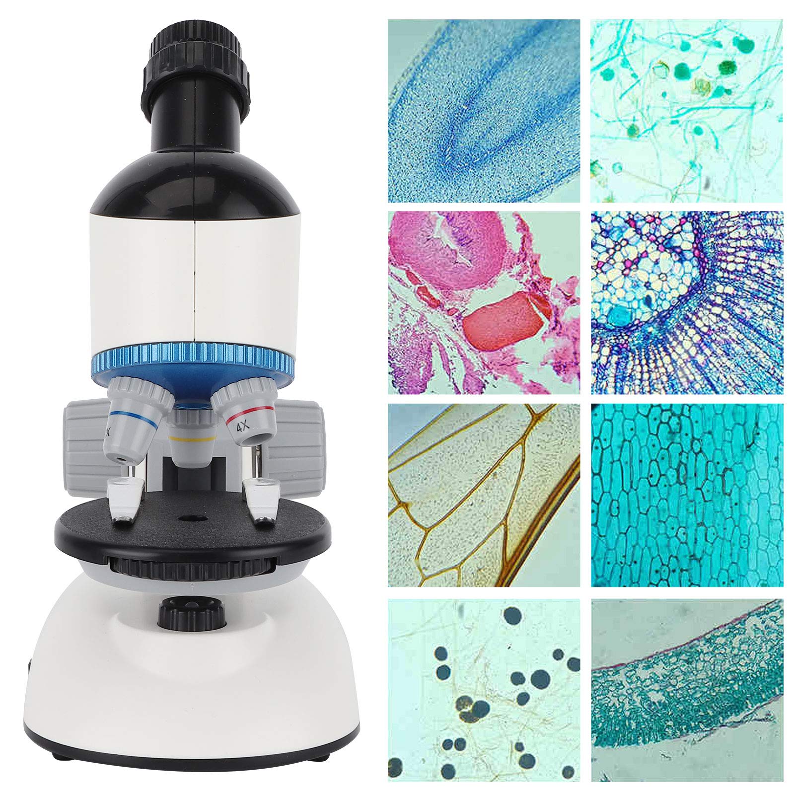 Microscopio Educativo per Bambini Giocattolo con Testa di Rotazione a 360° per Principianti, Microscopio Scientifico per Bambini 40X-1200X per Esplorazione Biologica, Plastica Ecologica,
